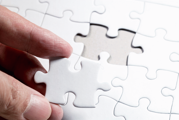 14 نکته خطرناک ترین انواع قارچ گربه: علائم، تشخیص و درمان